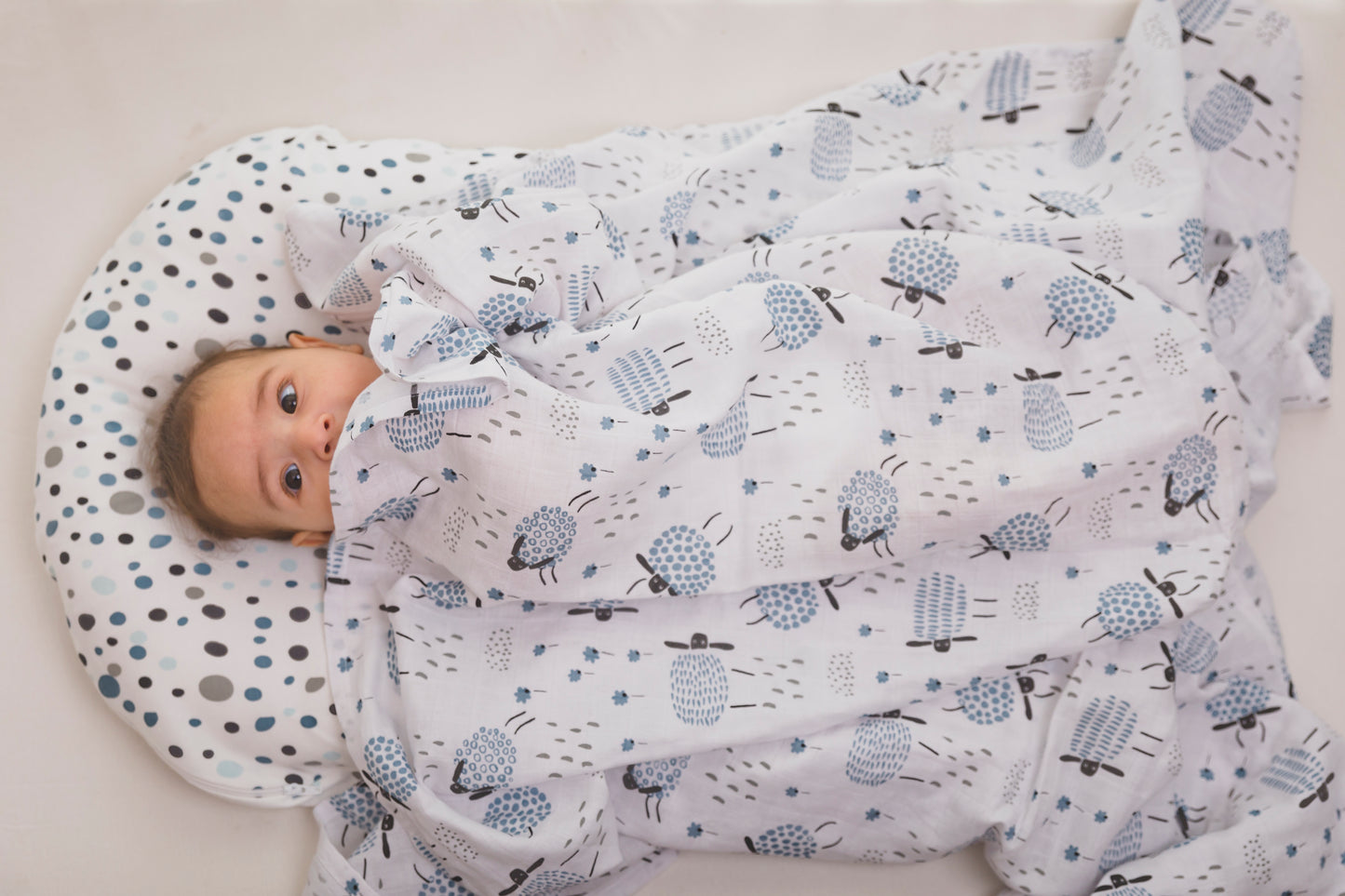 SWADDLE - Set of 2 - Sheep & Dalmatians - Blueberry Cream