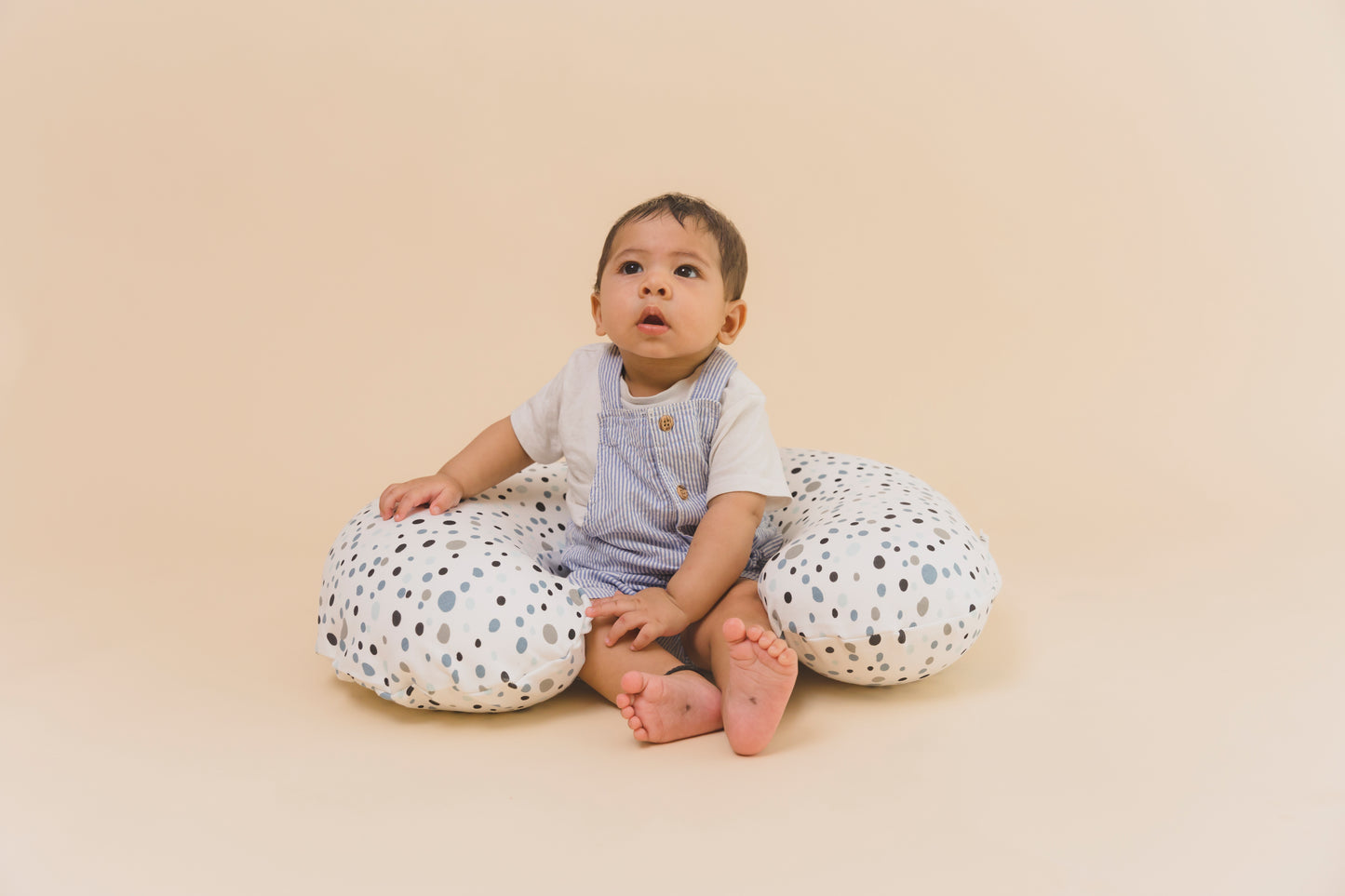 NURSING PILLOW - 101 Dalmations - Blueberry Cream